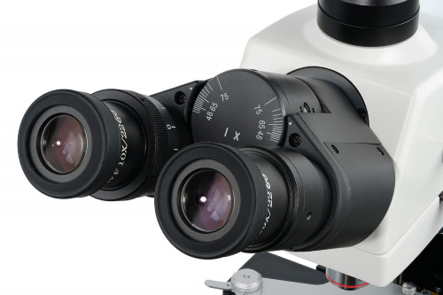 Микроскоп Levenhuk MED 40T, тринокулярный фото 5