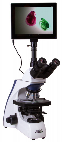 Микроскоп цифровой Levenhuk MED D30T LCD, тринокулярный фото 4