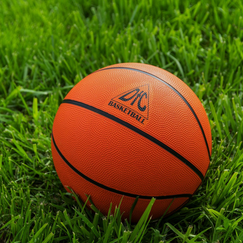 Мяч баскетбольный DFC BALL7R фото 4