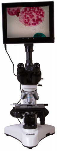 Микроскоп цифровой Levenhuk MED D25T LCD, тринокулярный фото 24