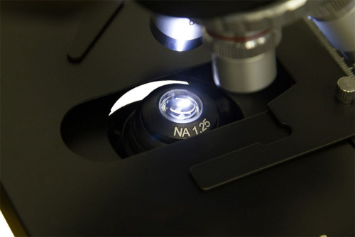 Микроскоп Levenhuk 720B, бинокулярный фото 15