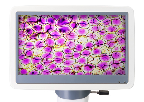 Микроскоп цифровой Levenhuk D85L LCD фото 11