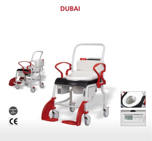 Кресло-стул с санитарным оснащением Дубай (функциональный) (арт. 334.54)